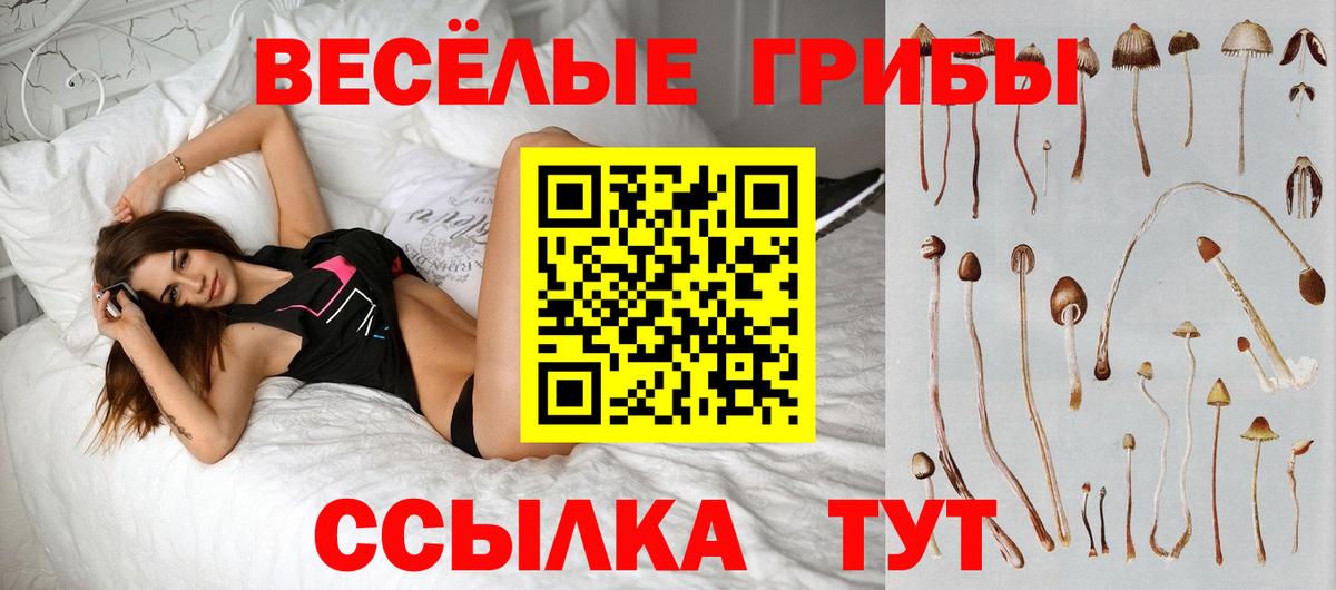 Псилоцибиновые грибы MAGIC MUSHROOMS  Вход с VPN  Кострома 